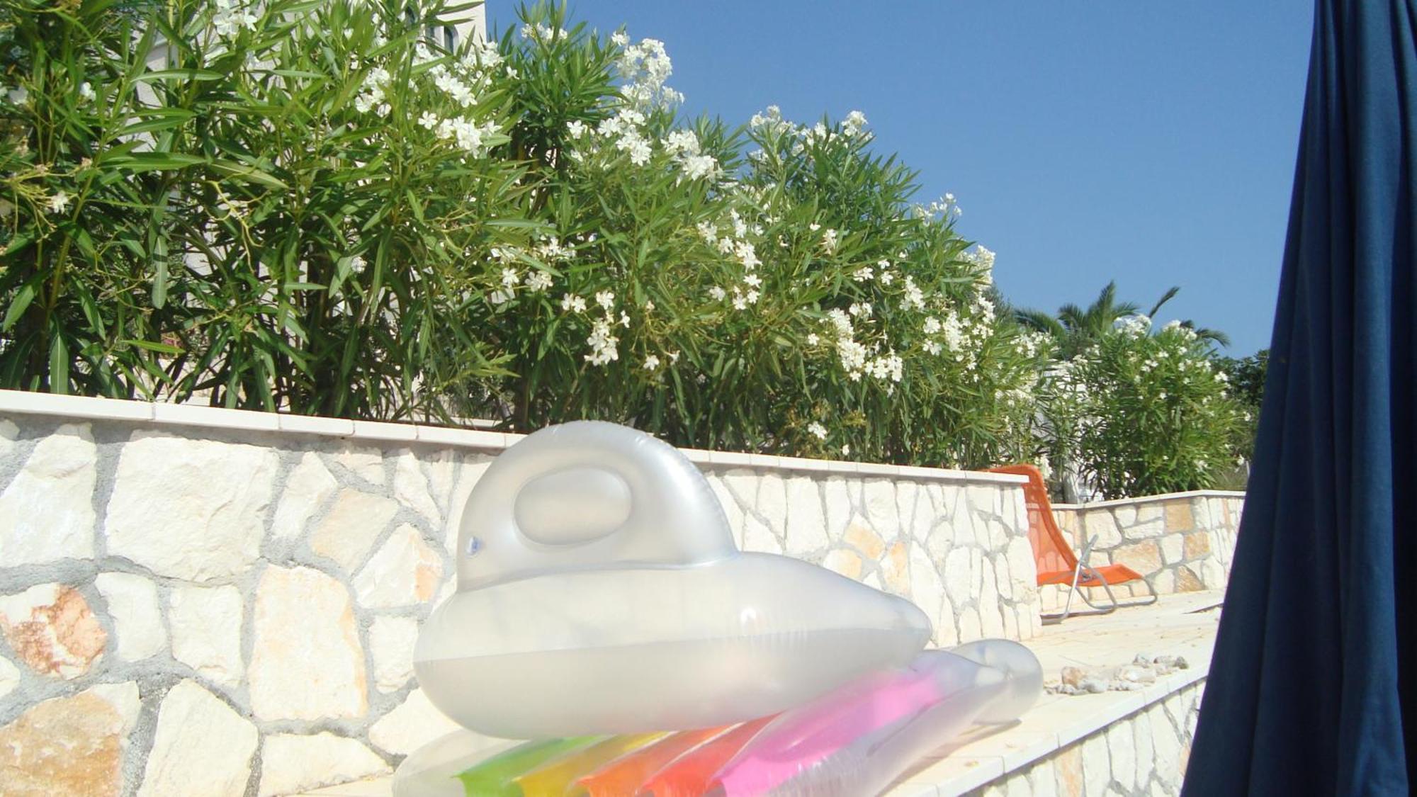 Apartments Niana With Heated Seawater Swimingpool Donji Okrug  Exterior foto